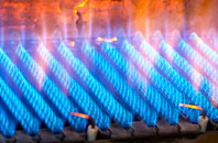Napleton gas fired boilers